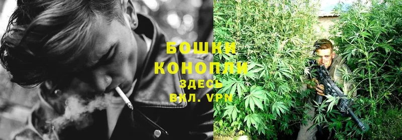 Каннабис Ganja  где можно купить   Асино 